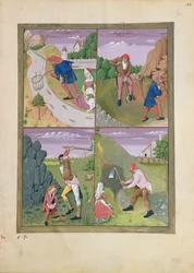 Illustration från boken av enkla mediciner av Mattheaus Platearius 143r